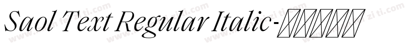 Saol Text Regular Italic字体转换